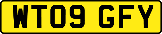 WT09GFY