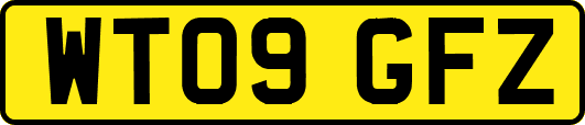 WT09GFZ