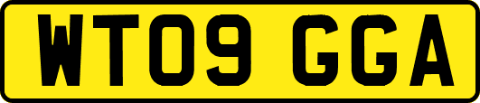 WT09GGA