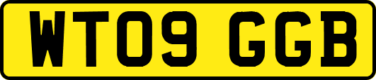 WT09GGB