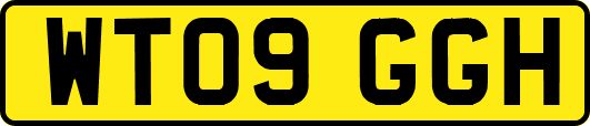 WT09GGH