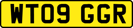WT09GGR