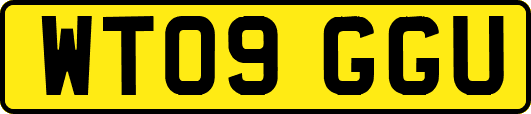 WT09GGU