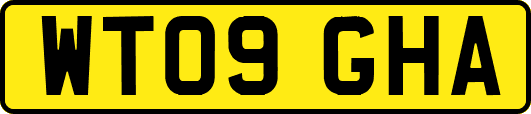 WT09GHA