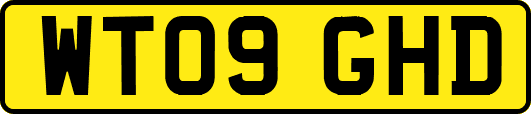 WT09GHD