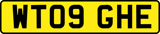 WT09GHE