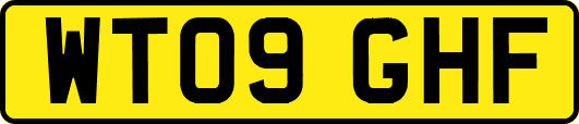 WT09GHF