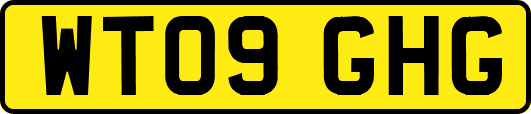 WT09GHG