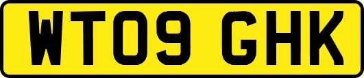 WT09GHK