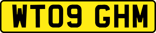 WT09GHM