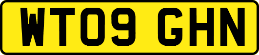 WT09GHN
