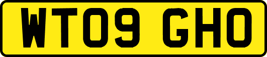 WT09GHO