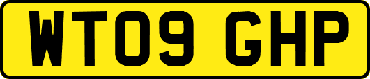WT09GHP