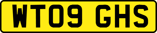 WT09GHS