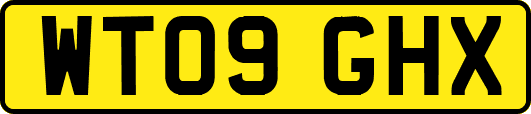 WT09GHX