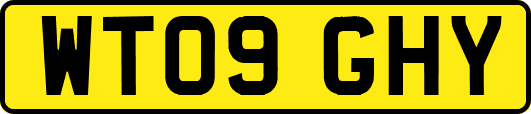 WT09GHY