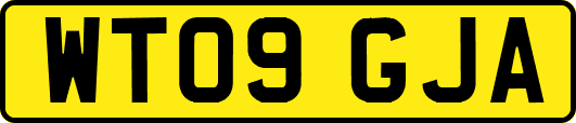 WT09GJA