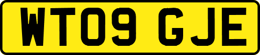 WT09GJE
