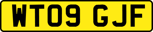 WT09GJF