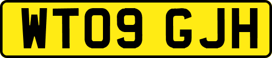 WT09GJH