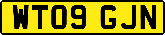 WT09GJN
