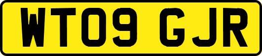 WT09GJR