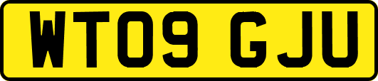 WT09GJU
