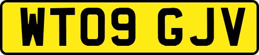 WT09GJV