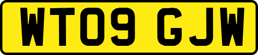 WT09GJW