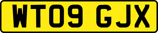 WT09GJX