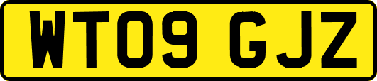 WT09GJZ