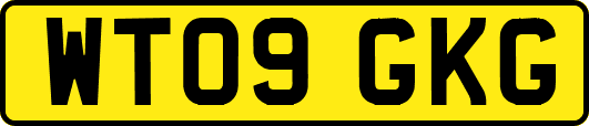 WT09GKG