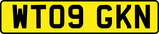 WT09GKN