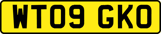 WT09GKO