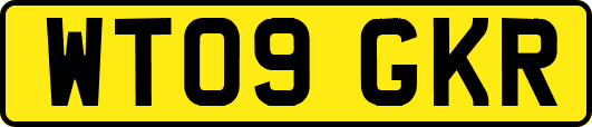 WT09GKR