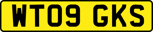 WT09GKS