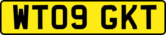 WT09GKT