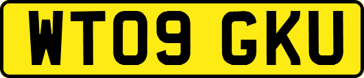 WT09GKU