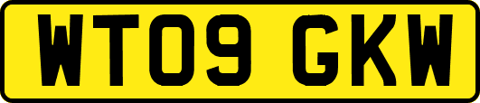 WT09GKW
