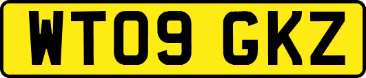 WT09GKZ