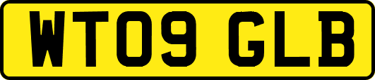 WT09GLB