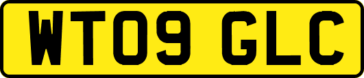 WT09GLC