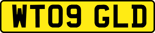 WT09GLD