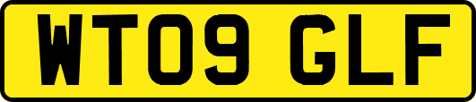 WT09GLF