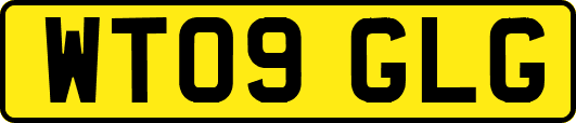 WT09GLG