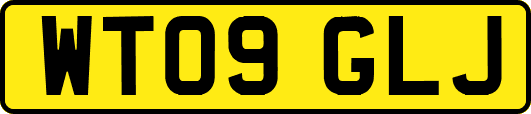 WT09GLJ