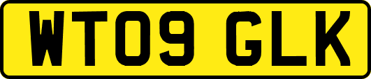 WT09GLK