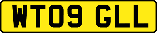 WT09GLL
