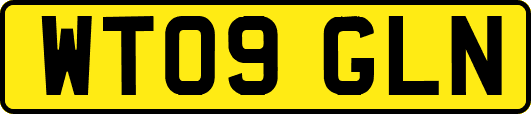 WT09GLN