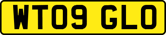 WT09GLO